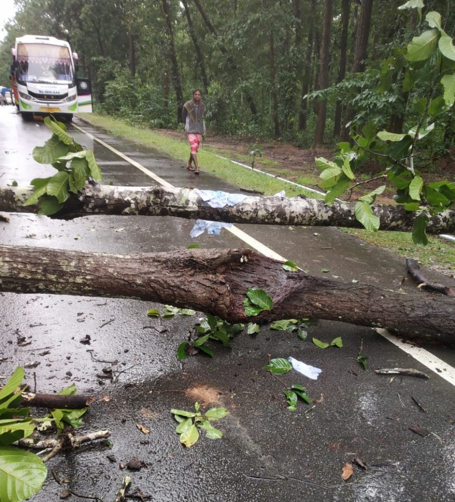 Maoists call 24-hr Odisha bandh, block roads in Kandhamal