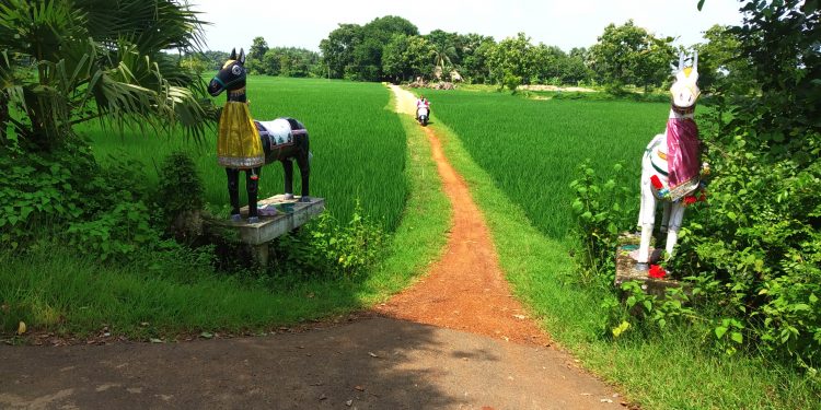 Maa Tarasuni Peetha wallows in neglect