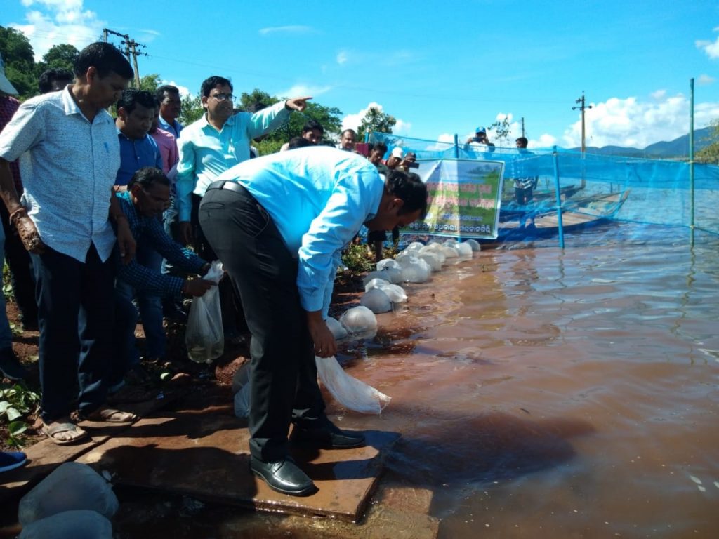 Boost for fish farming in Malkangiri