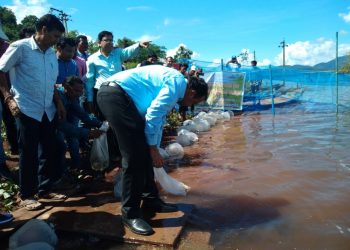 Boost for fish farming in Malkangiri