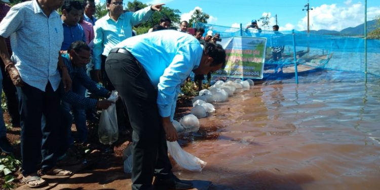 Boost for fish farming in Malkangiri