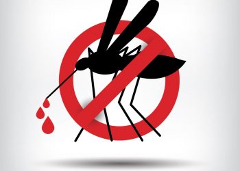 7 tested positive for Dengue in Jaleswar