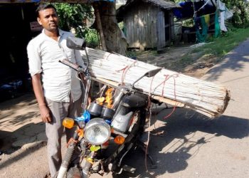 As jute farming shrinks, jute sticks vanish from market