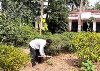 Teacher raises ‘mini jungle’ for his school