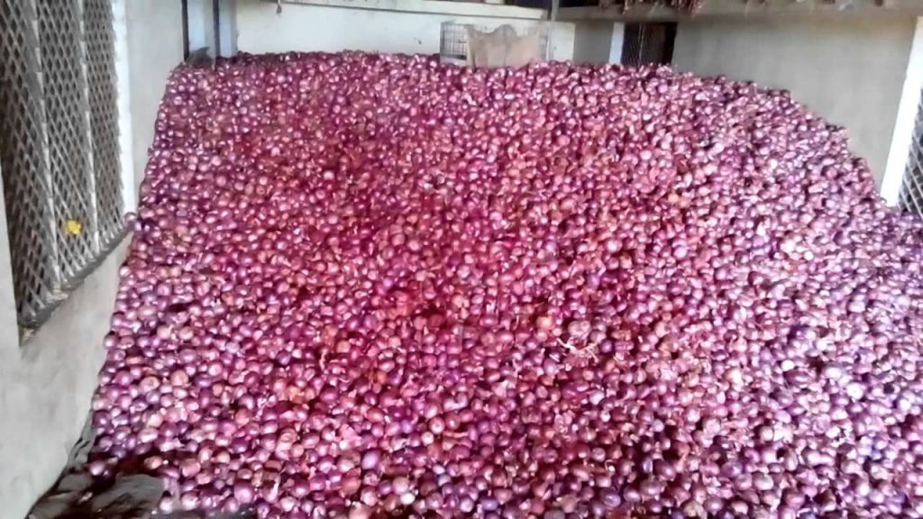 Onion Storage 