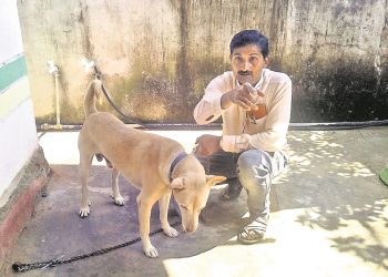 Pet dog kills cobra, saves six lives in Jeypore