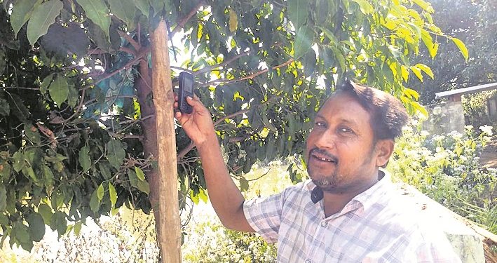 A village in Odisha’s Angul district where 72 families have only one phone to contact friends and relatives