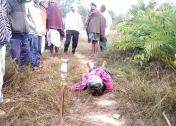 Angul farmer dies in boar trap