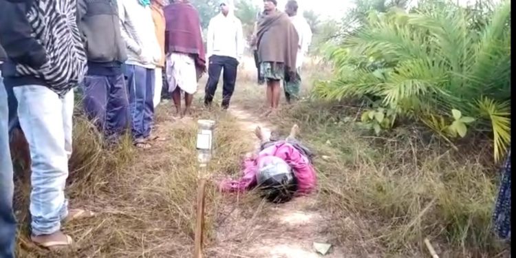 Angul farmer dies in boar trap