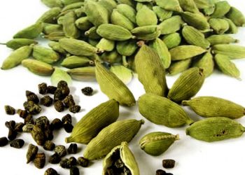 Incredible health benefits of Elaichi (Cardamom)