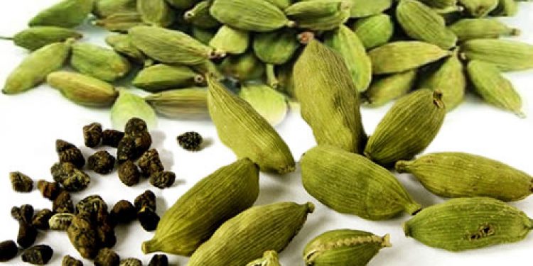 Incredible health benefits of Elaichi (Cardamom)