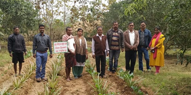 Paban Bhujabal (3rd from L) along with agriculture officials at his farm land