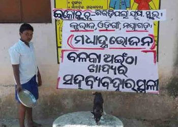 Compassion for animals: Left-over mid day meal foods given to animals and birds in Nayagarh