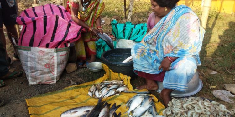 This woman is killing it in Keonjhar fish market