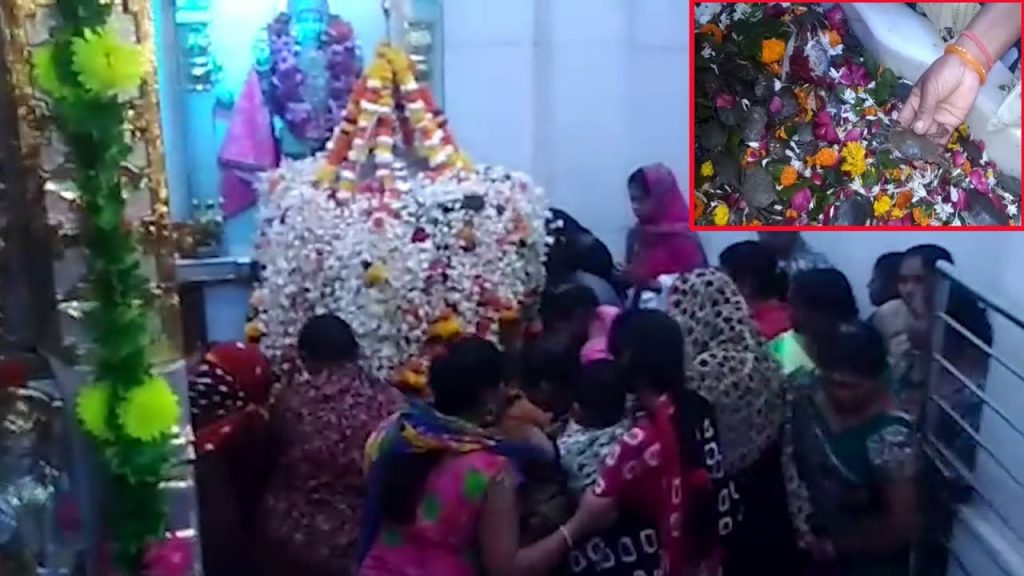 Devotees offer live crabs as ‘prasad’ in this temple