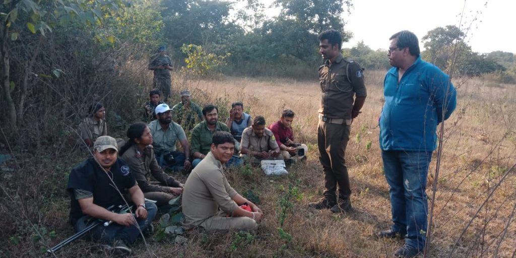 Angul killer tusker finally tranquilised, to be shifted to Kapilash Zoo