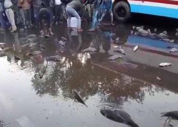 Fish-laden pickup van overturns in Rourkela during Bharat bandh