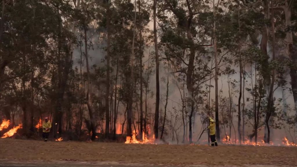 International aid, donations pour in for Aus bushfire crisis