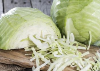 Compound in cabbage helps fight fatty liver disease