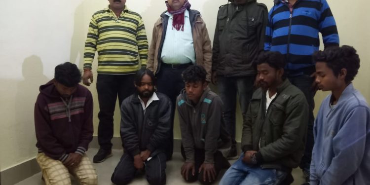 Five smugglers arrested, tusks seized in Baripada