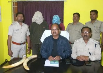 Two smugglers arrested, tusks recovered in Subarnapur