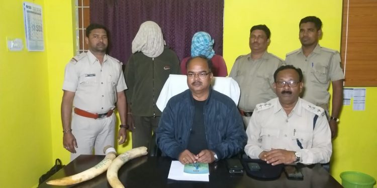 Two smugglers arrested, tusks recovered in Subarnapur