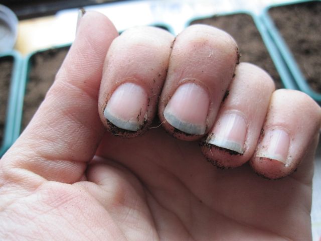 If you are fond of growing nails, it may affect your health badly