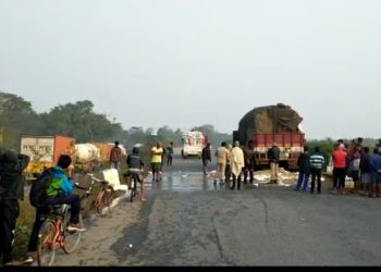 Road mishap: locals gather to loot fish