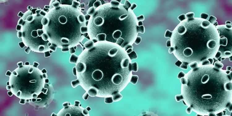 Bolangir couple with suspected coronavirus disease admitted to hospital