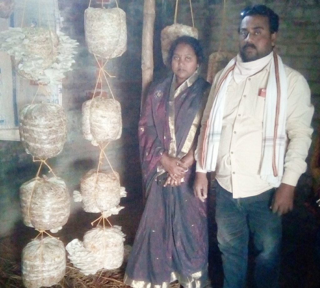 Mushroom farming sets cash register ringing