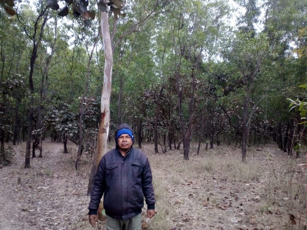 Man generates 5-acre forest to meet locals’ firewood needs