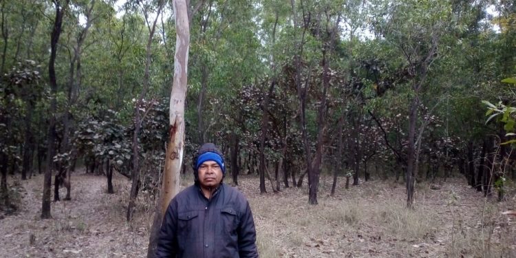 Man generates 5-acre forest to meet locals’ firewood needs