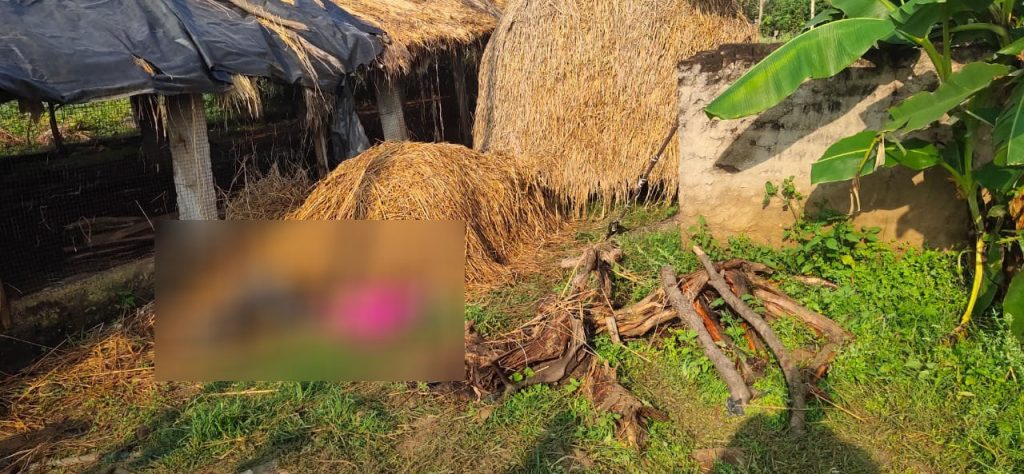 Unidentified body found in Angul, murder suspected