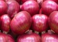 Onion export