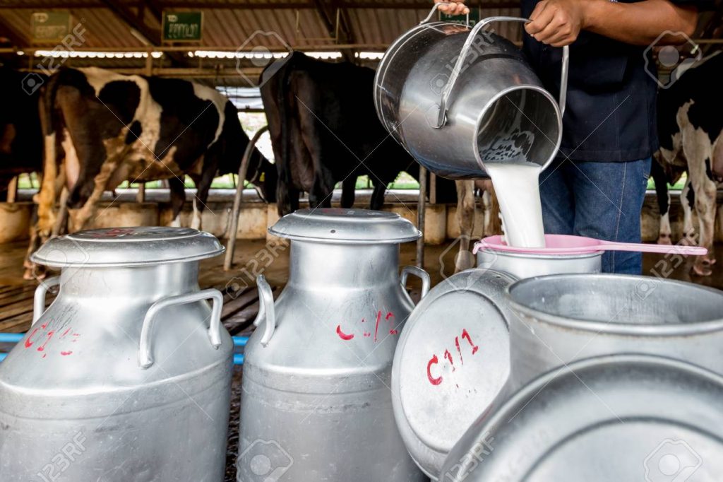 COVID-19-Dairy-farmers-in-Puri-district-feel-lockdown-pinch