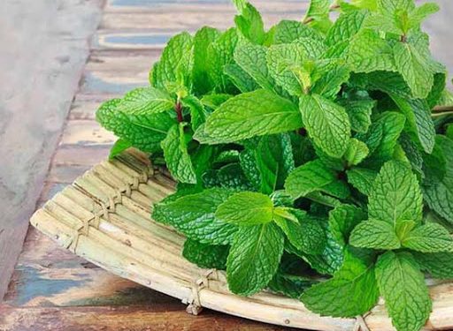 Mint acts as a healer for your skin; to know the benefits, read here