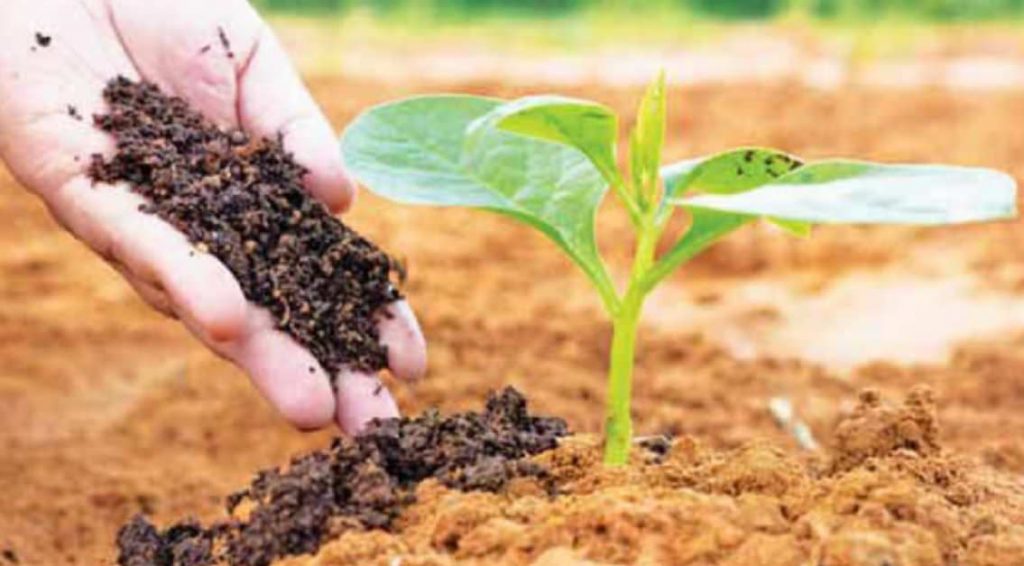 Balasore DLTC urges farmers to focus on ‘organic farming’