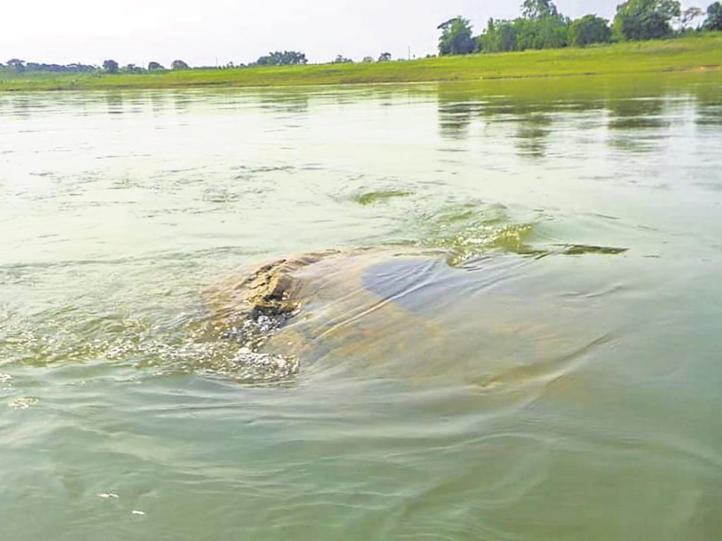 Facts about the ancient temple that emerged from River Mahanadi in Nayagarh