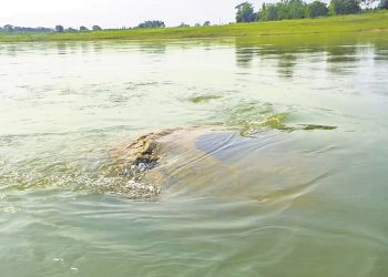 Facts about the ancient temple that emerged from River Mahanadi in Nayagarh