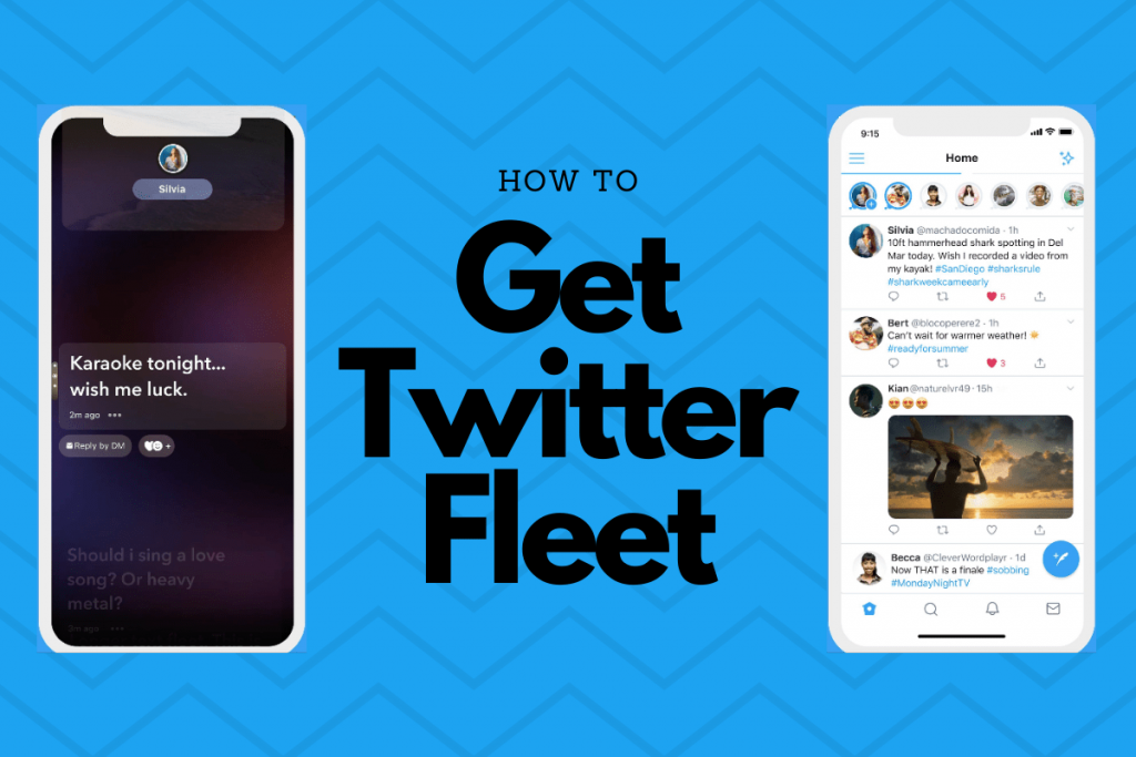 Twitter Fleet