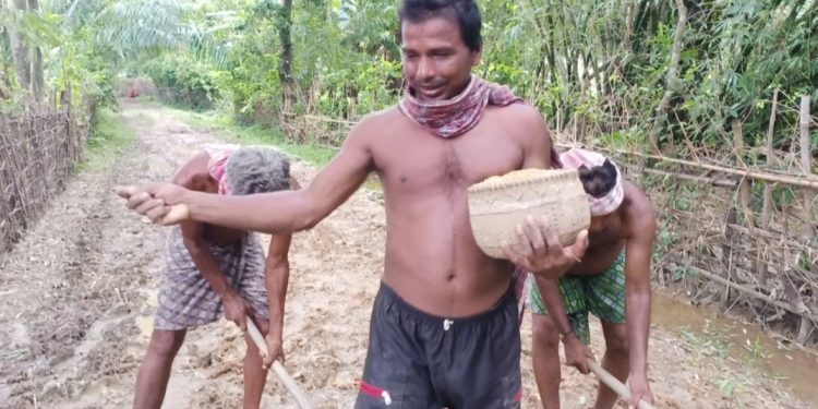 Balasore villagers protest by planting paddy on poorly constructed road