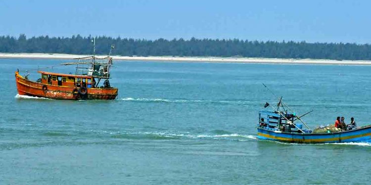 Fishing activities resume in Paradip with COVID-19 norms going for a toss