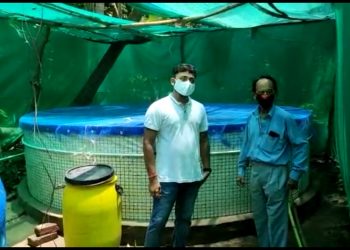 Lockdown transforms software engineer into fish farmer in Jagatsinghpur