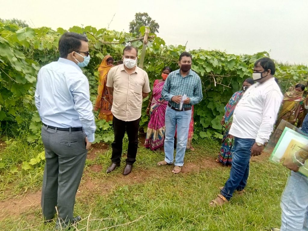 Mayurbhanj women script success story in vegetable cultivation 