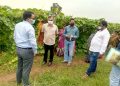 Mayurbhanj women script success story in vegetable cultivation 