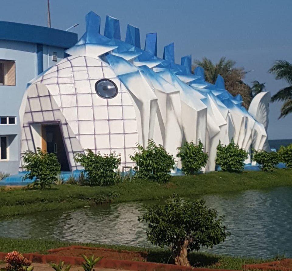 Odisha’s first ‘Fish Museum’ showcasing Chilika species ready