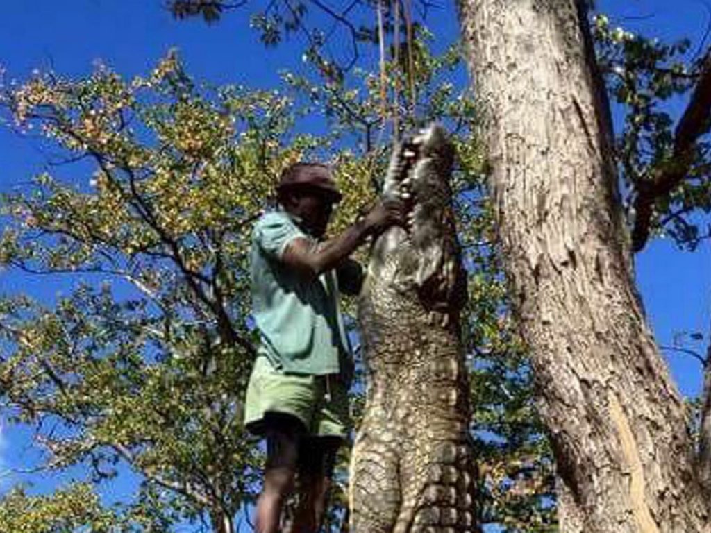 Shocking After killing crocodile, villagers feast on meat by throwing dinner party