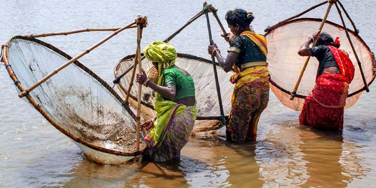 Women risk lives fishing in croc-infested rivers 