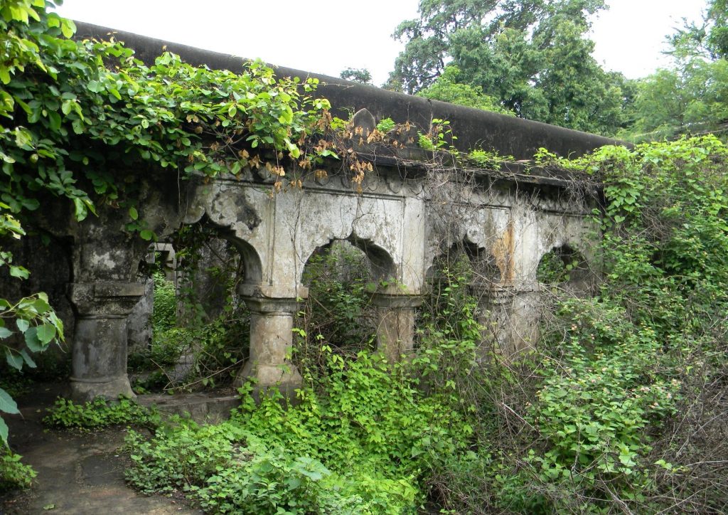 ‘Raja Bakhri’ wallows in monumental neglect