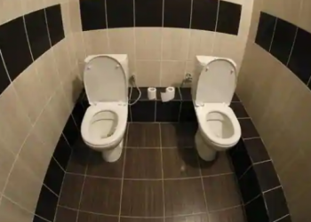 Study says flushing public toilets can spread COVID-19